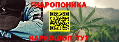 мдпв Обнинск